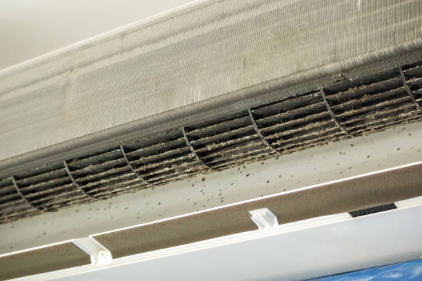 Best HVAC Duct Inspection Services  in Sanger, TX